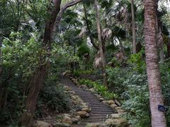 -深圳仙湖植物园