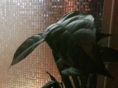 -纽斯桑拿会所(天山店)