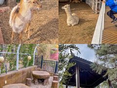 -丽泽山庄·生态怀柔菜·虹鳟鱼(红螺寺店)
