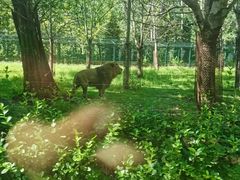 -秦皇岛野生动物园