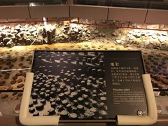 -元代水闸遗址博物馆