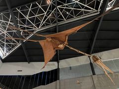 -湖南省地质博物馆