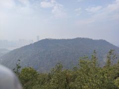 -桃花岭景区