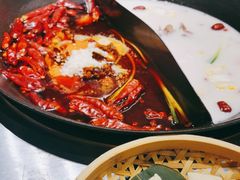 -朱光玉火锅馆(正弘城店)