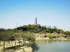 -顺峰山公园