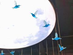 -雲蜀龙阁·金牌水煮鱼(方庄店)