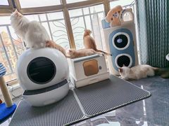 -贝康宠物医院·犬猫全科·小动物特色诊疗中心(东环路店)