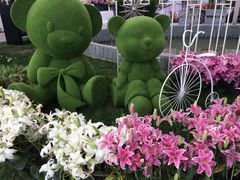 iphone_upload_pic-上海鲜花港
