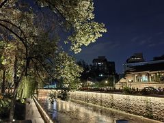 -望江楼公园