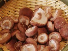 活体菌菇-捞王锅物料理(上海世茂广场店)