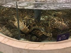 -白金汉爵大酒店(相城店)