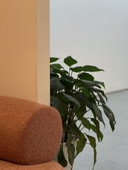 -Sunny喜铺婚礼定制·求婚策划
