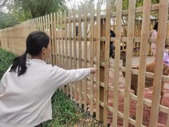 -水上乐园·欢乐世界