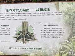 -广州市帽峰山景区