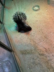 -酷嗒动物文化乐园(cutezoo西溪乐天城店)