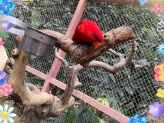 -南宫五洲植物乐园