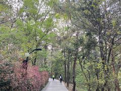 -虞山风景区