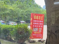 -银峰农庄·特色烧鸡·鲜无花果浸鸡