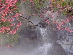 -静安雕塑公园