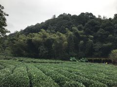 -杭州西湖风景名胜区-三生石