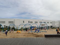 -碧海金沙