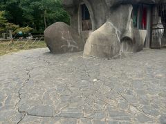 -合肥野生动物园