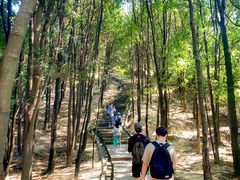 -火炉山森林公园