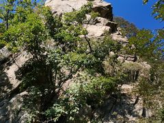 -丹东市五龙山风景区