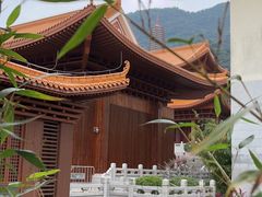 -深圳仙湖植物园