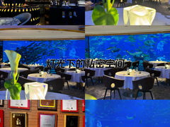 -亚特兰蒂斯•OSSIANO奥西亚诺海底餐厅