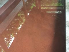 -黄山温泉国际旅游度假区