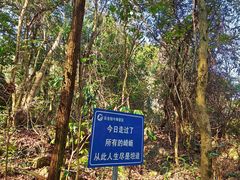 -石台牯牛降景区