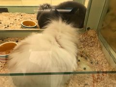 -龙猫仔乐园(惠福东路店)