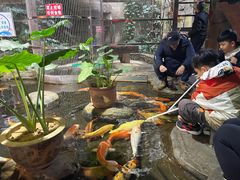 -南昌动物园