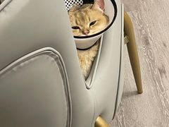 -爱诺耐芙动物医院(万博店)