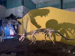 -湖南省地质博物馆