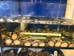 水产区-渔中舟海鲜大排档(普陀沈家门店)