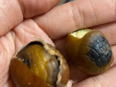 -天津小三宝栗子店(黄海路店)