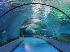 -泉城欧乐堡海洋极地世界