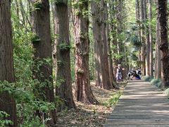 -同里国家湿地公园