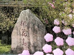 -金鸡湖桃花岛