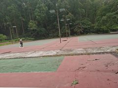 -南国桃园旅游度假区