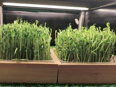 -捞王锅物料理(金华义乌之心店)