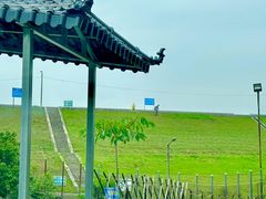 -水库河鲜村