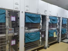 -美联众合动物医院·24h转诊中心