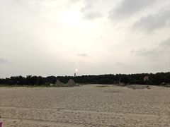 -日照海滨国家森林公园