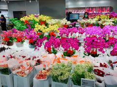 -盒马X会员店(王府井奥莱UP TOWN店)