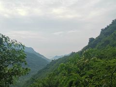 -龙窝子