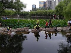 -青城公园