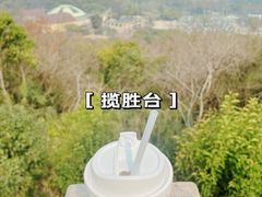 -宝界山林公园